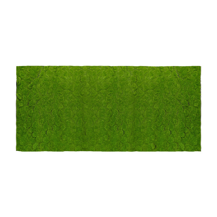 Primrue 1'' Faux Moss Grass Wayfair